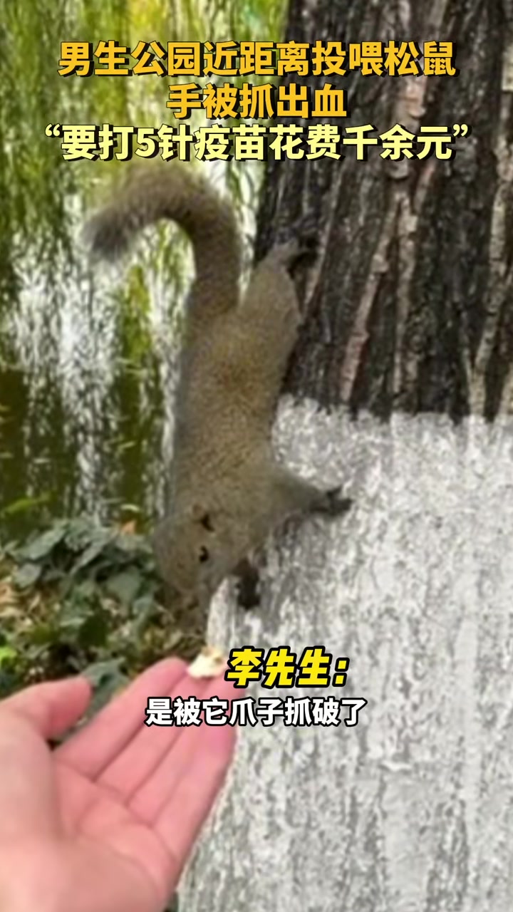 男生公园近距离投喂松鼠手被抓出血“要打5针疫苗花费千余元”