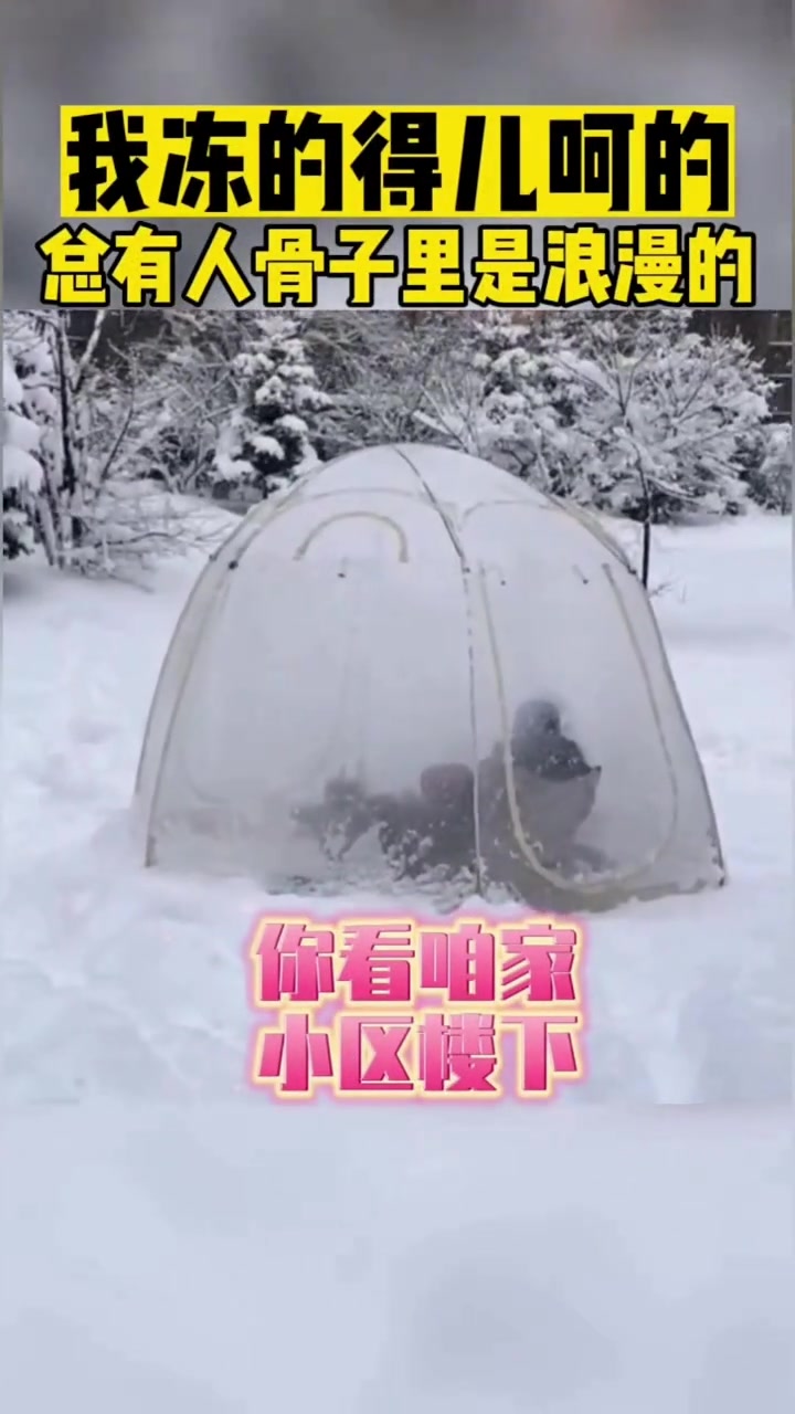 总有人骨子里是浪漫的！
