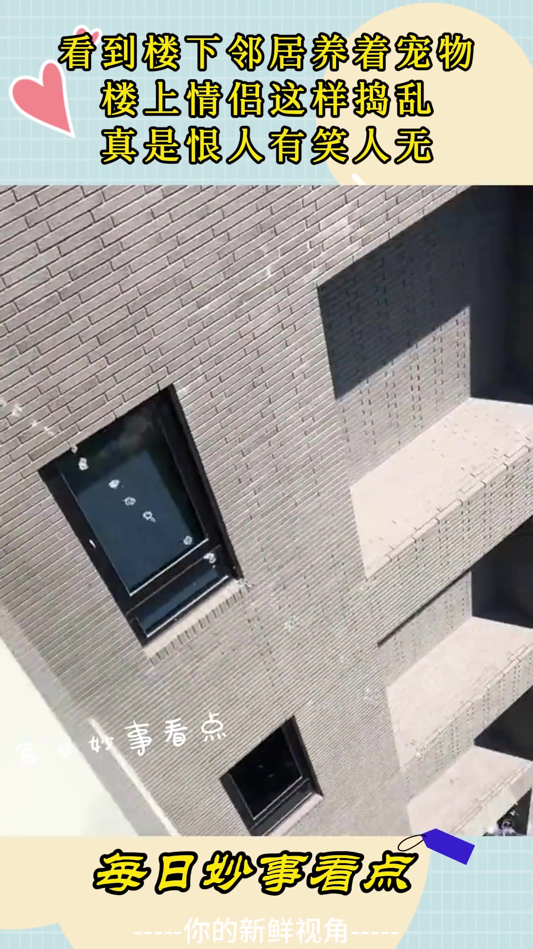 看到楼下邻居养着宠物，楼上情侣这样捣乱，真是恨人有笑人无！