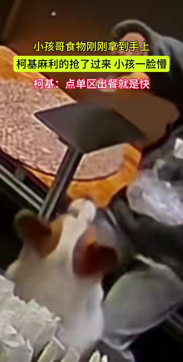 小孩哥刚拿出食物，就被柯基一嘴顺走了！！！