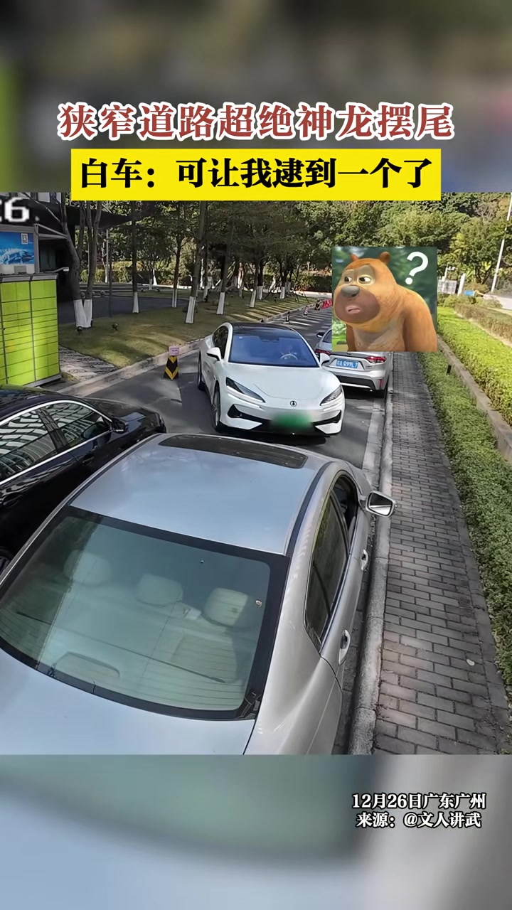 狭窄道路超绝神龙摆尾白车：可让我逮到一个了