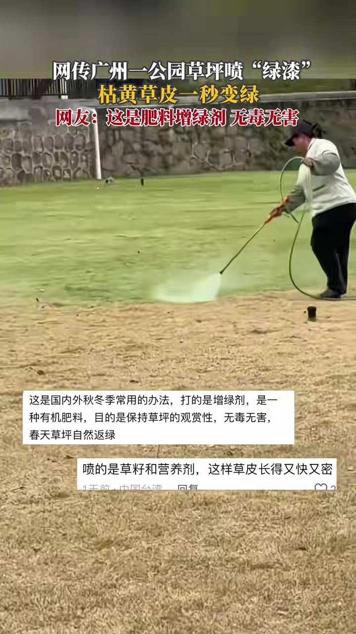 网传广州一公园草坪喷“绿漆”枯黄草皮一秒变绿