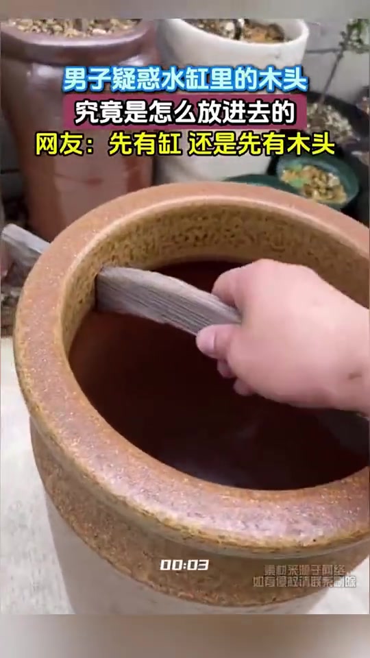 究竟怎么放进去的，先有缸，还是先有木头！