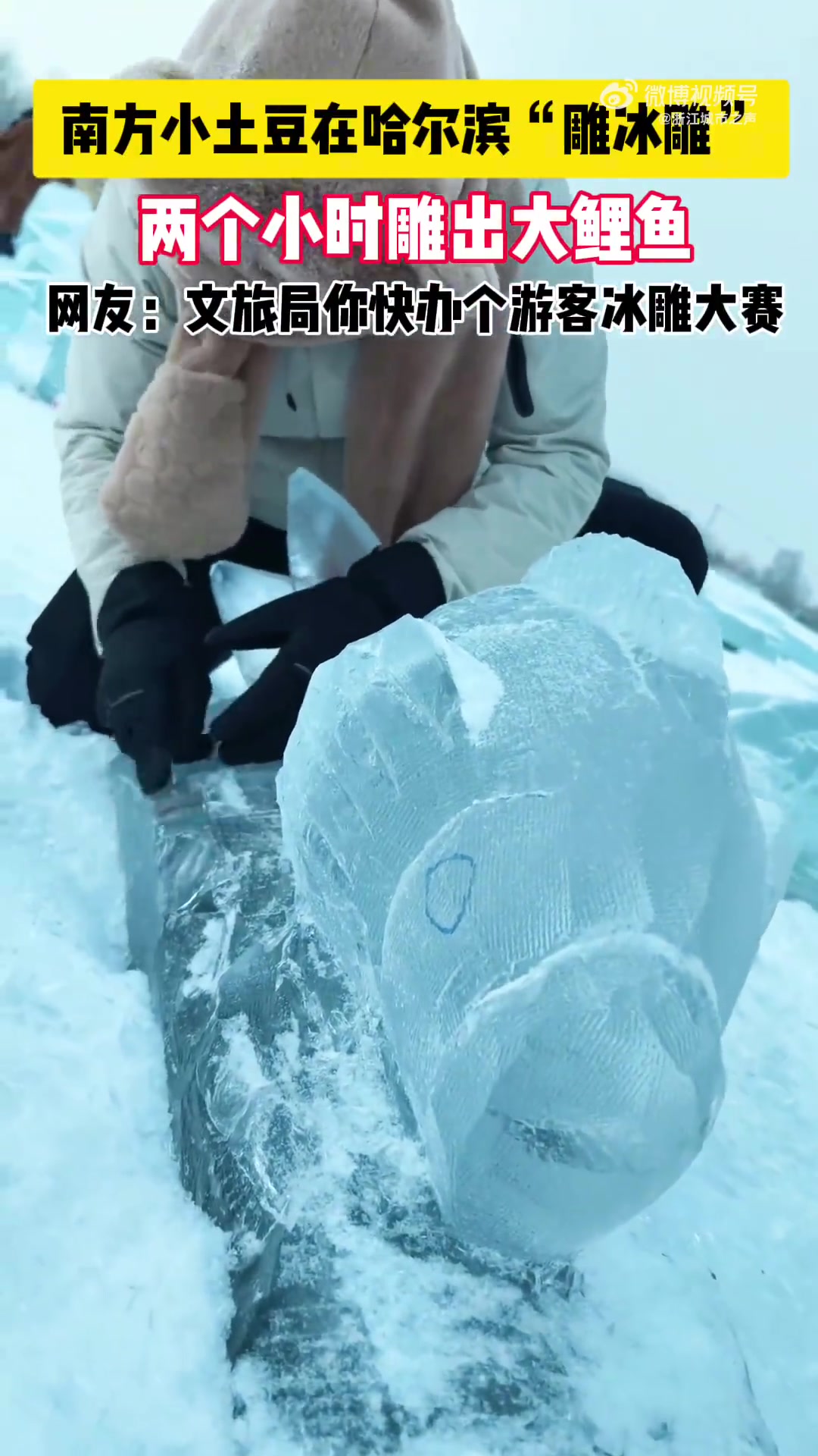 南方小土豆在哈尔滨“雕冰雕”，两小时雕出一条大鲤鱼！
