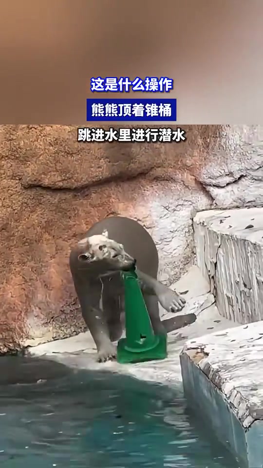 COS草帽僵尸熊熊顶着锥桶，跳进水里进行潜水！