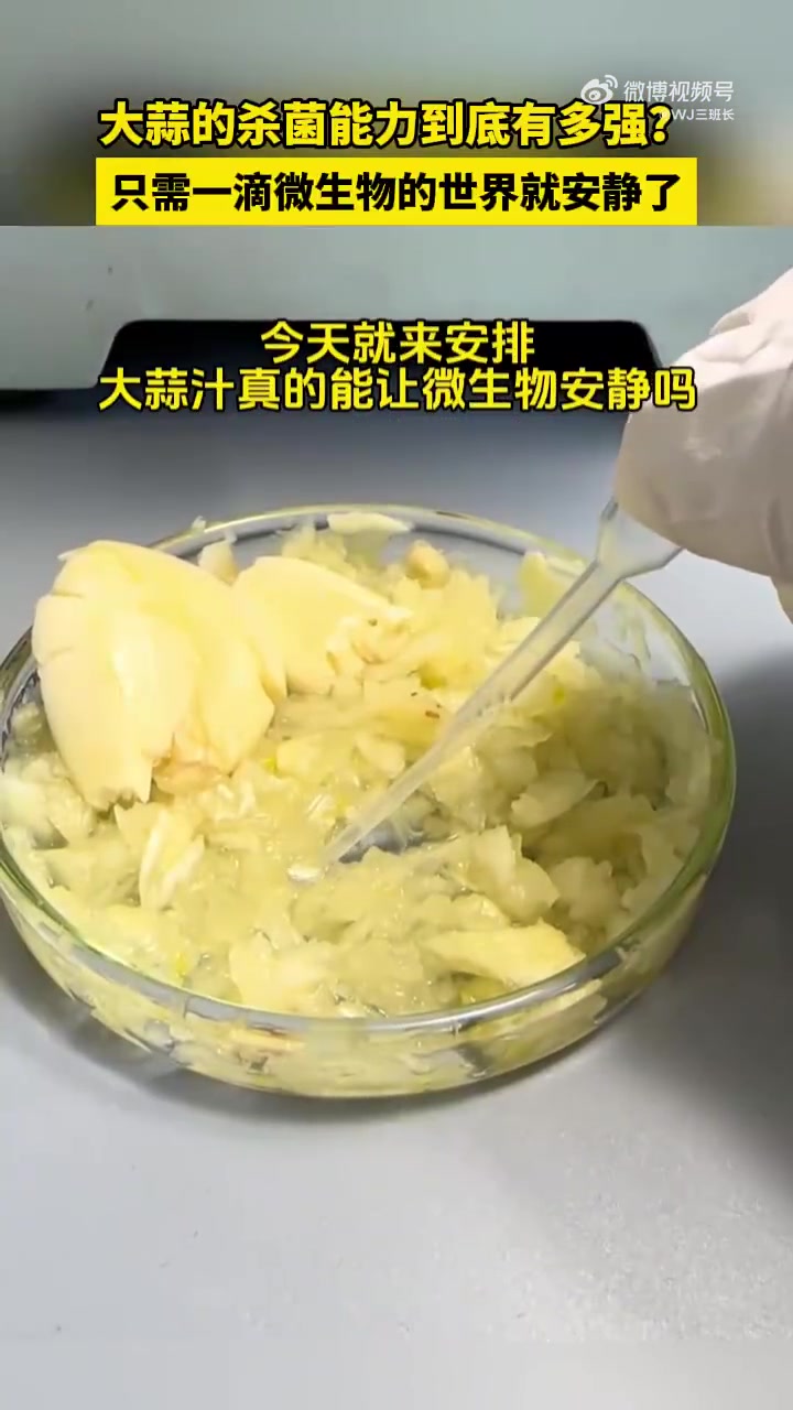 虽然但是，这是虫子吧！