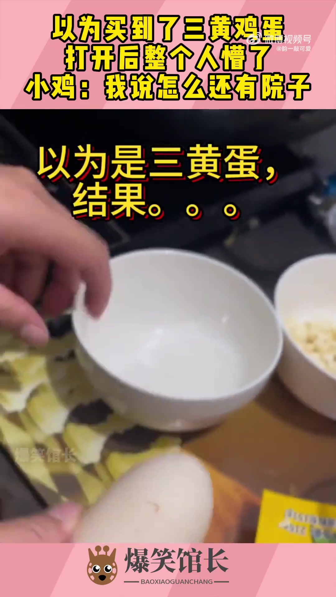 以为买到了三黄鸡蛋，打开后整个人懵了，小鸡：我说怎么还有院子