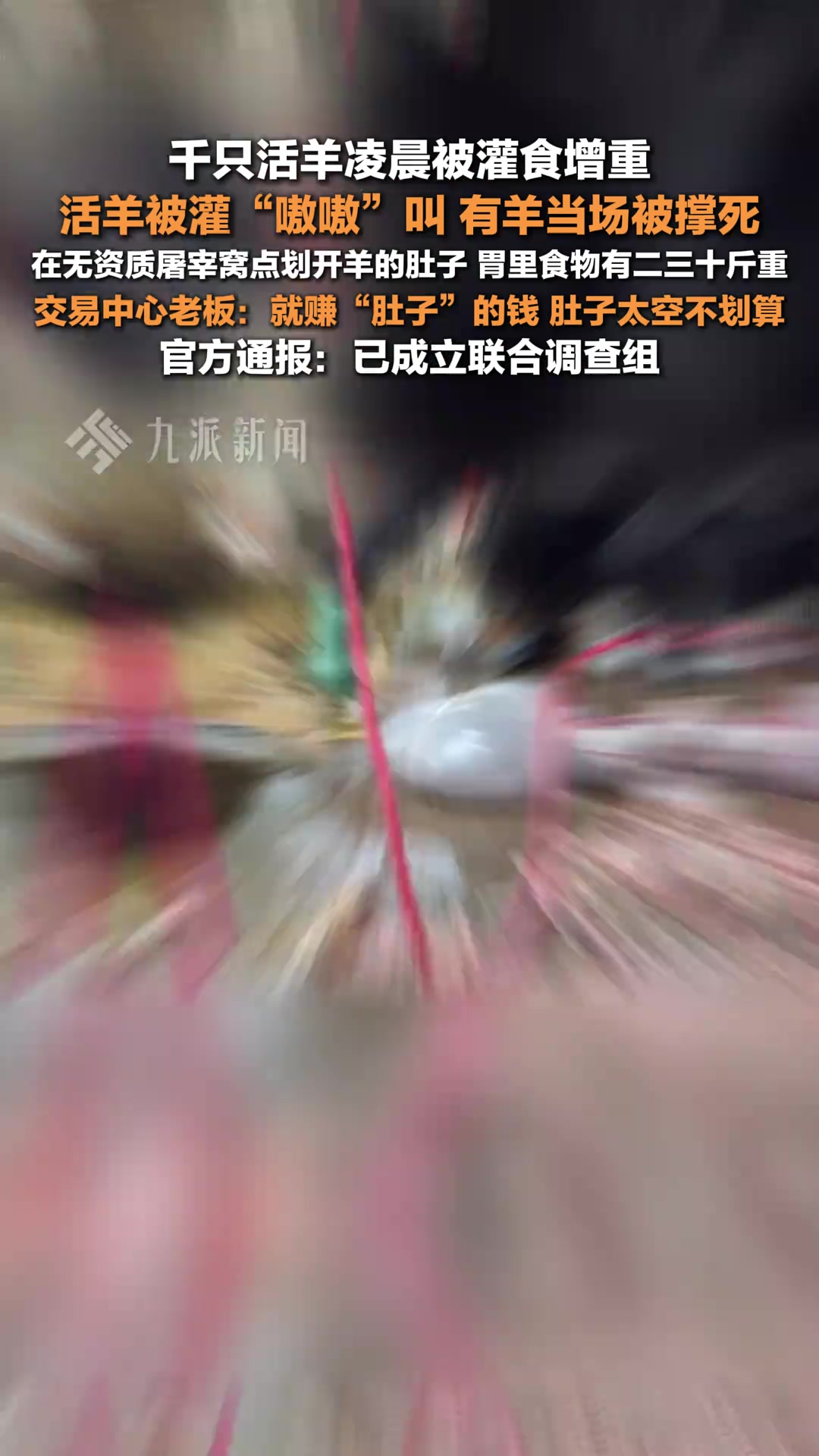 官方通报千只活羊被灌食增重售卖！