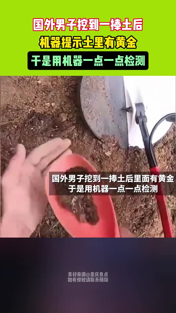 国外男子挖到一捧土后，机器提示土里有黄金！于是一点一点检测