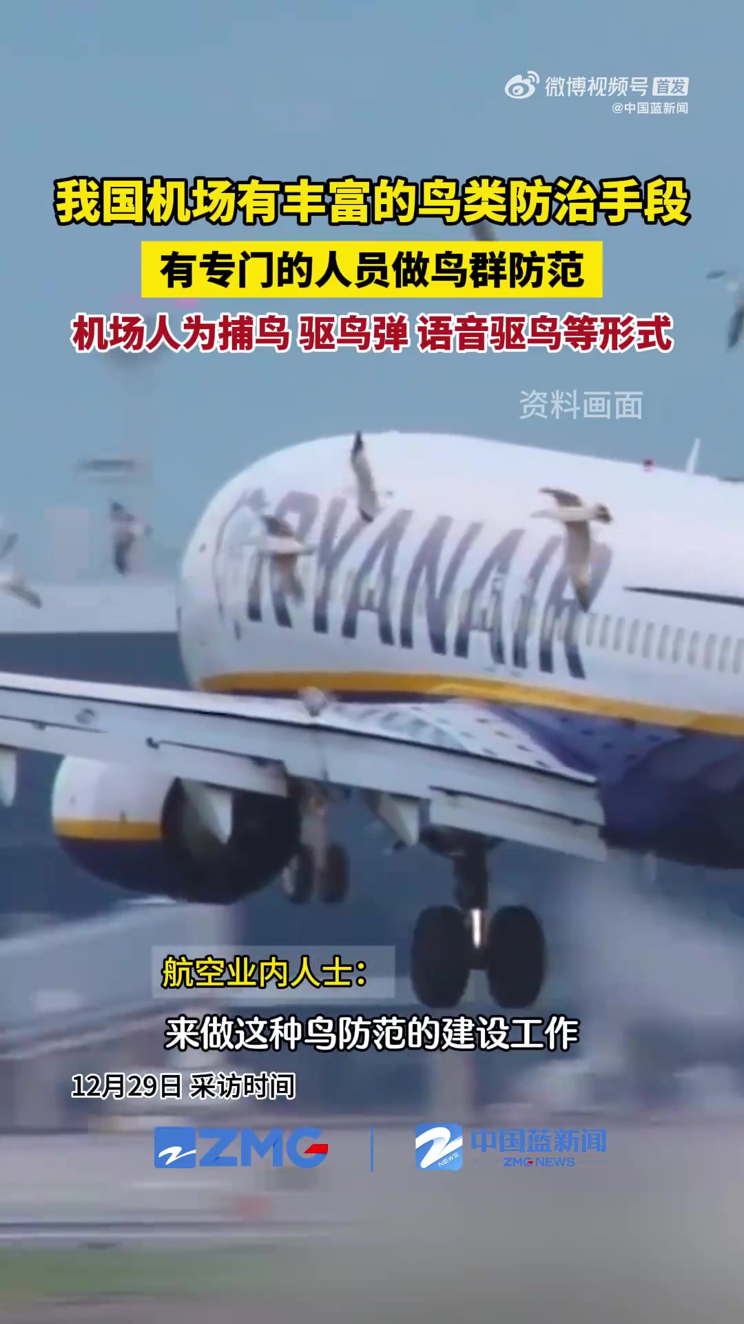 专家谈国内机场有丰富防范鸟类手段