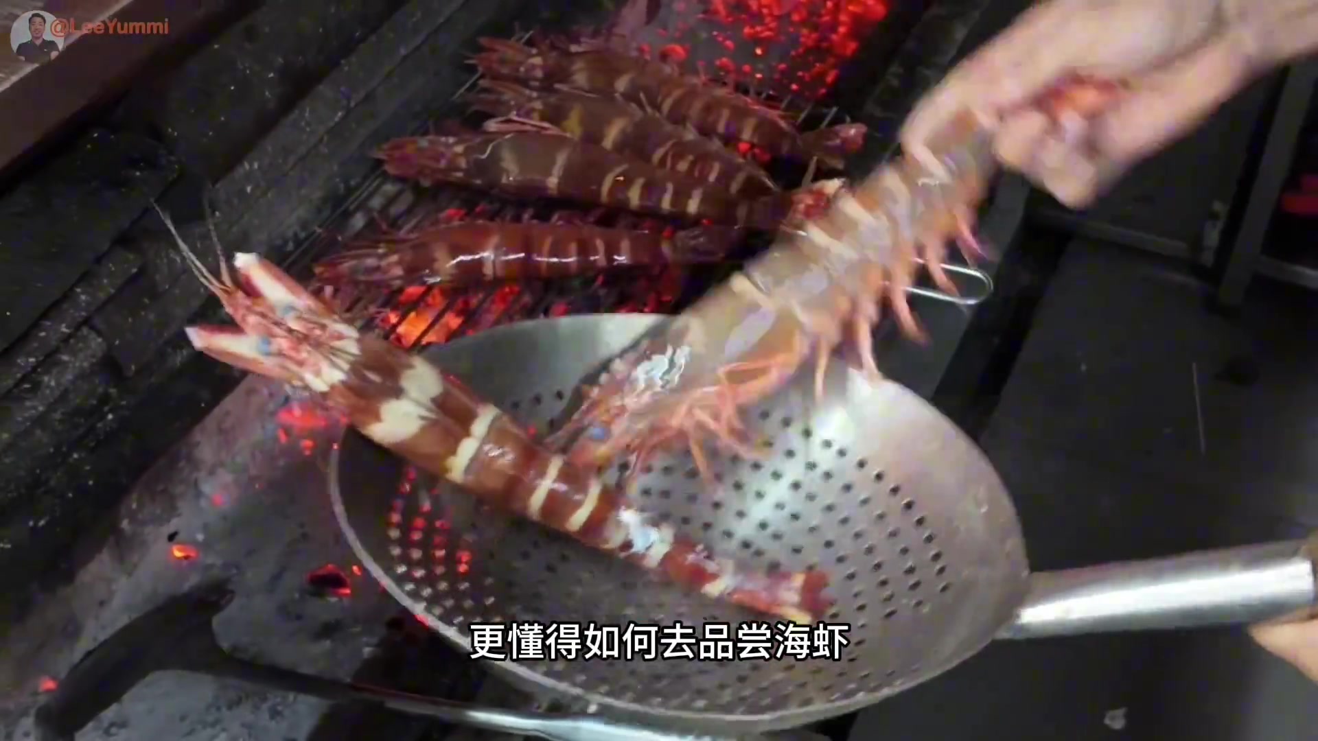 这么大只的九节虾看起来是真有食欲啊