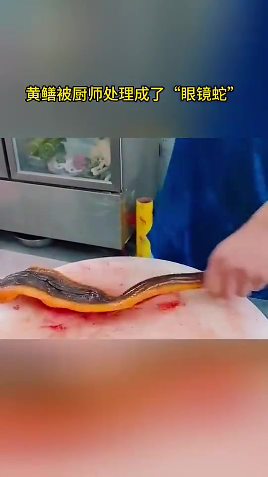 黄鳝被厨师做成“眼镜蛇”模样