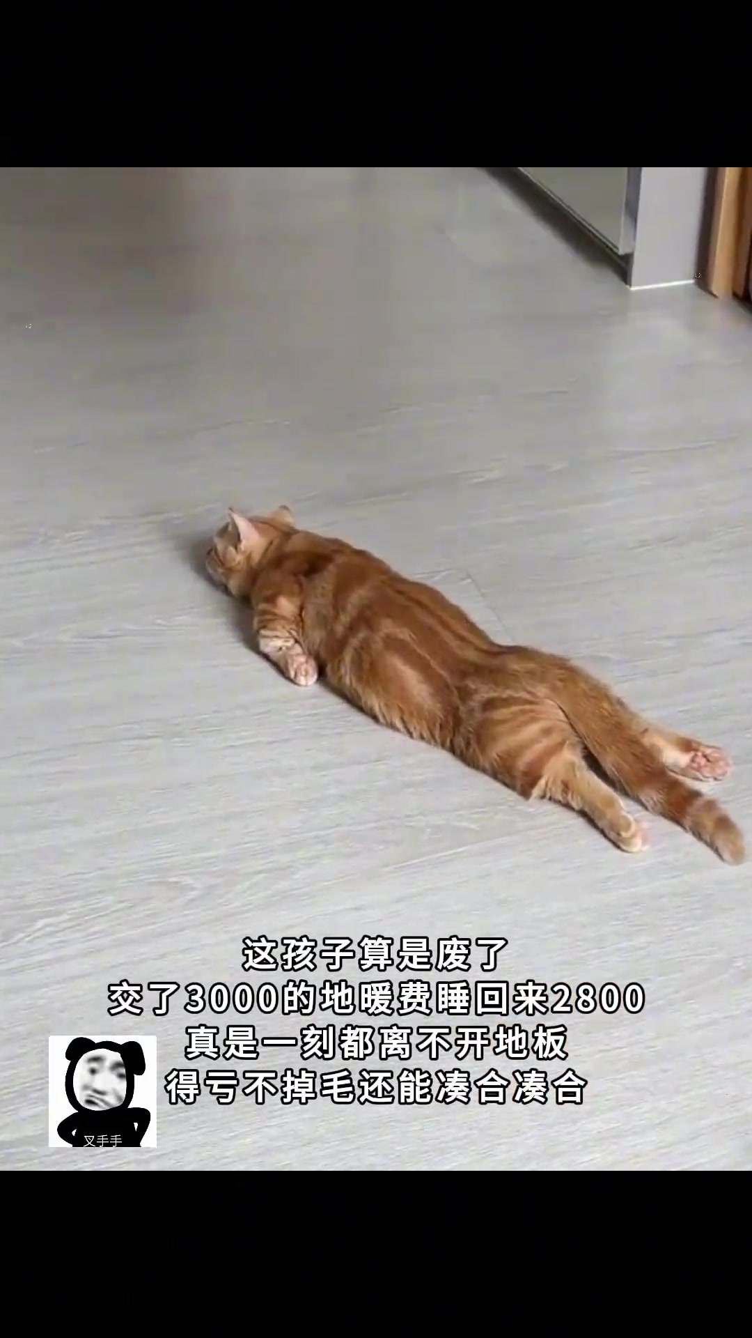 有地暖的冬天一定很幸福