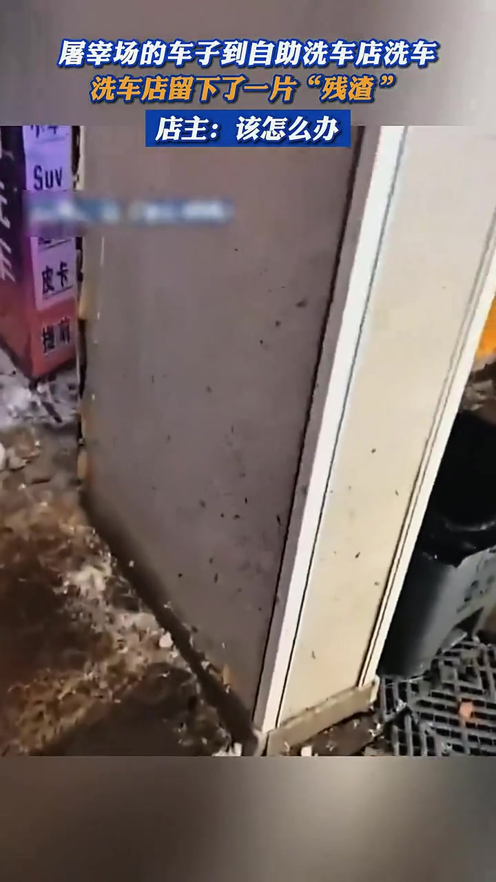 屠宰场的车子到自助洗车店洗车，洗车店留下一片“残渣”