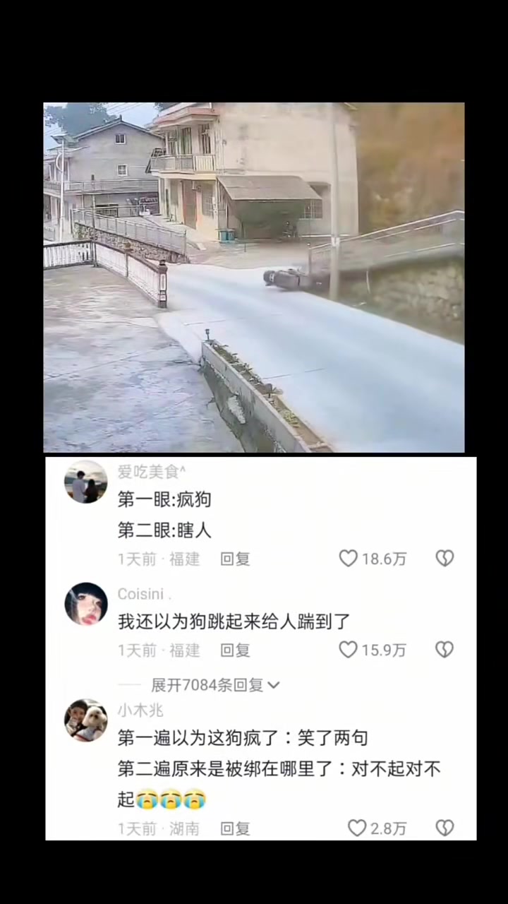 看了两遍才发现，冤枉狗子了