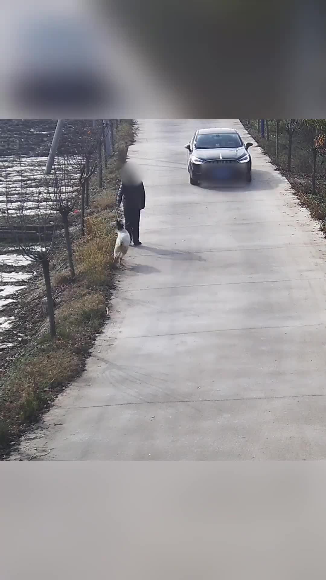 真的是祸不单行啊！