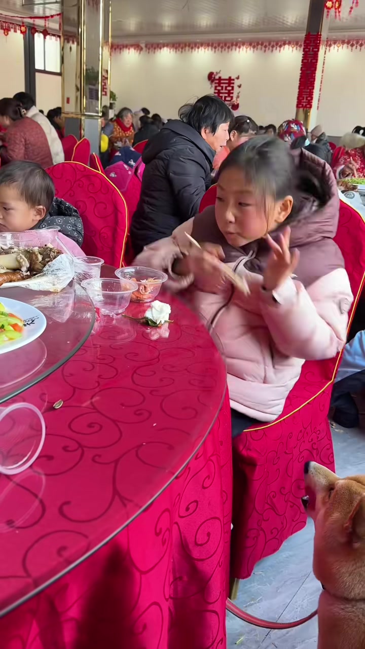 随礼二百，她的狗子吃了一百八