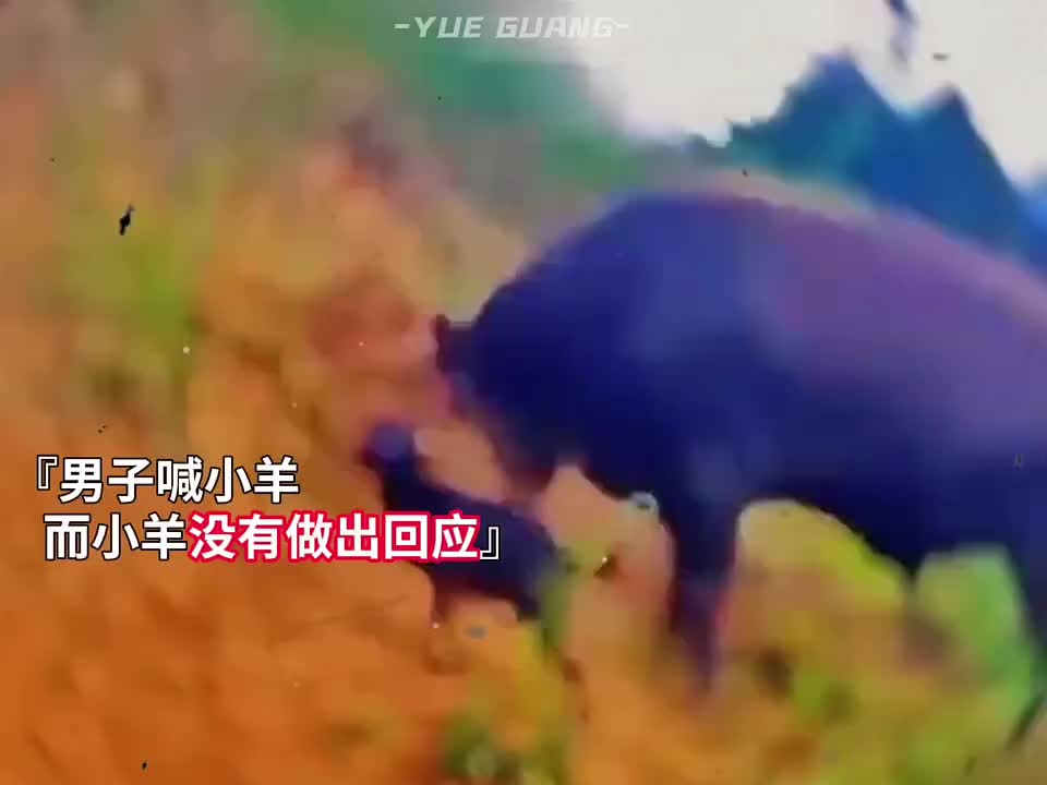 已读不回，直接顶飞！