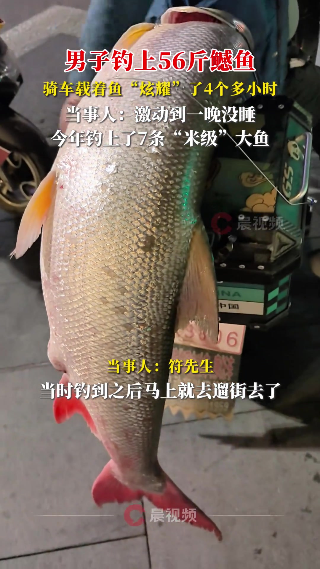 男子钓上56斤鳡鱼，骑车载着鱼“炫耀”了4个多小时