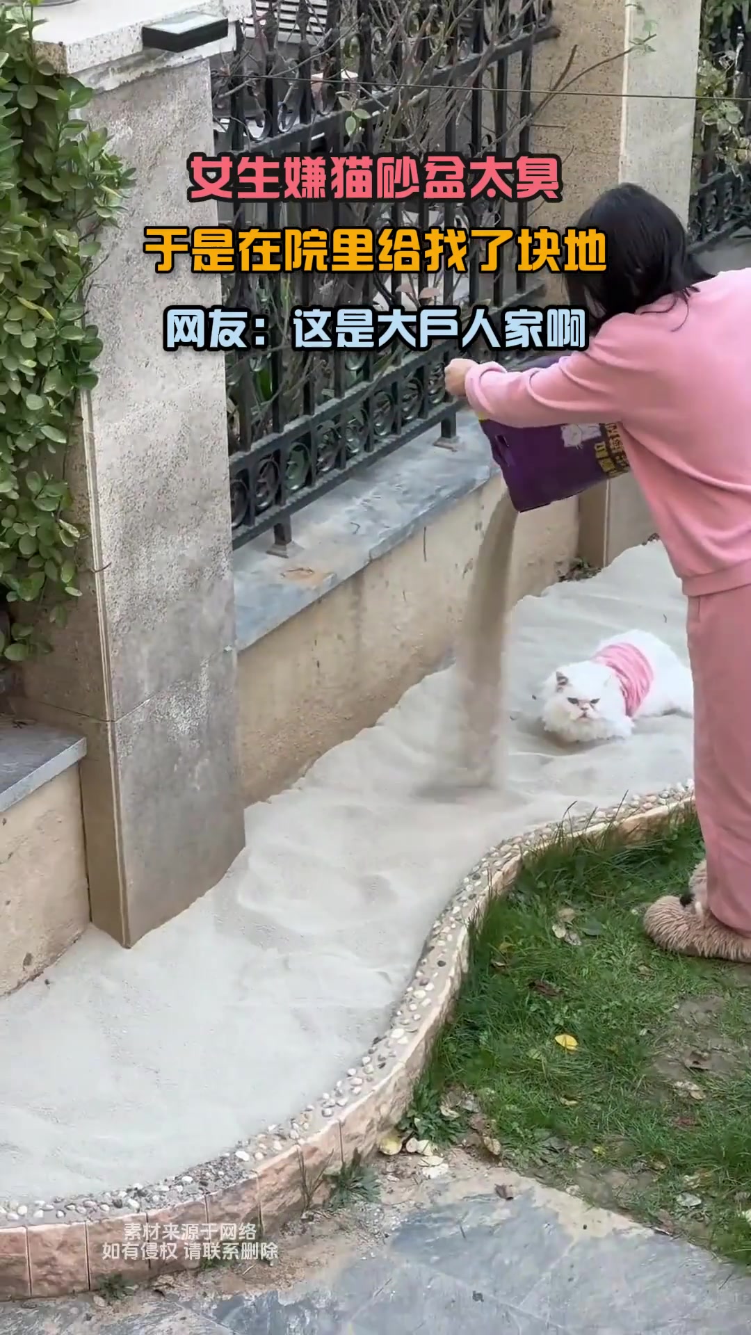 女生嫌猫砂盆臭，在院找地安置，网友：大户人家