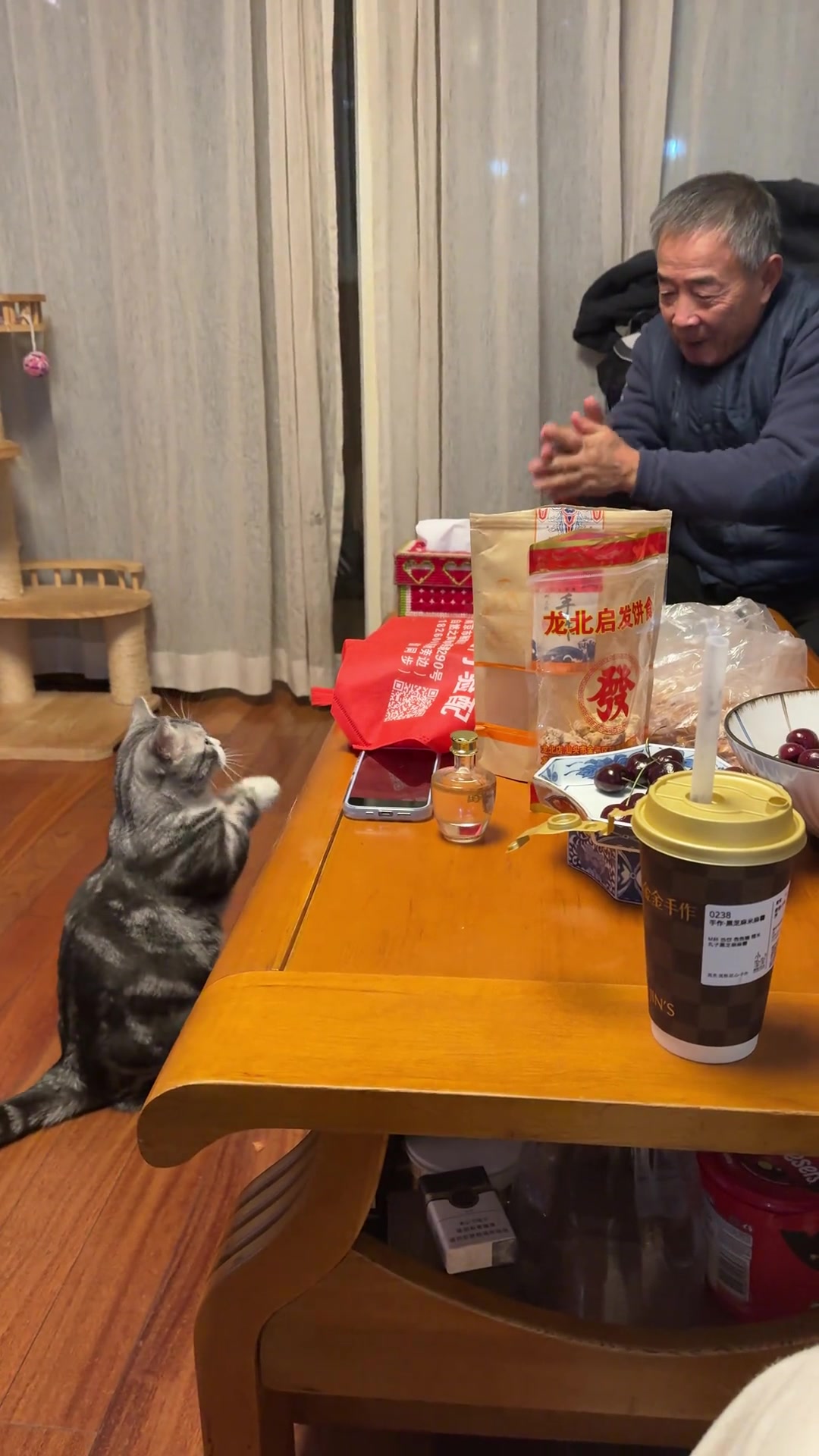小猫咪：我谢谢您的养育之恩
