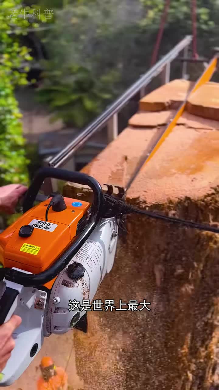界上最长的单人链锯！