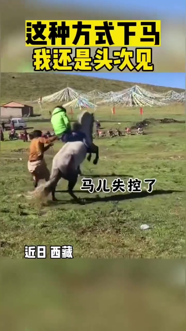 这种方式下马，我还是头次见！