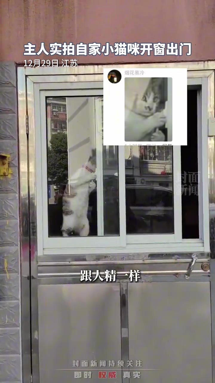小猫咪：我有的是力气和手段