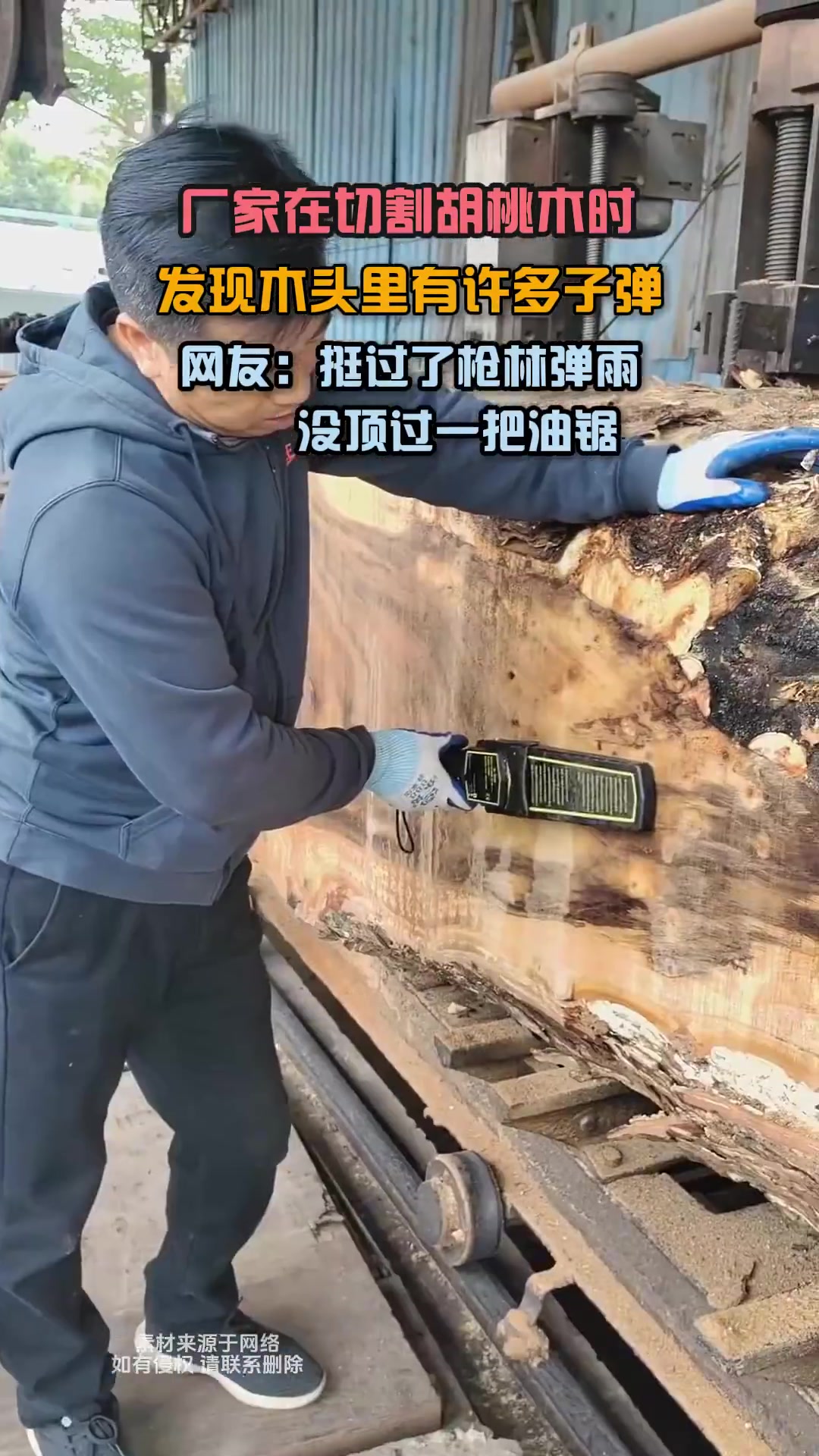 躲过了战争但躲不过木材厂！切割胡桃木时，发现里有许多子弹！