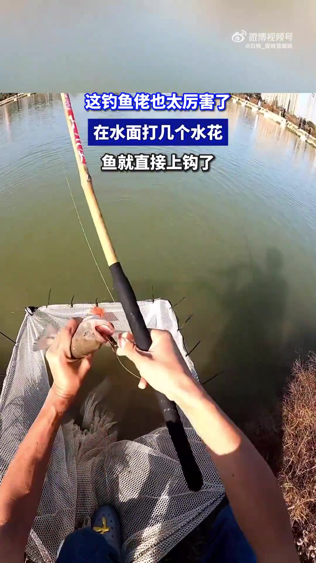 这钓鱼佬也太厉害了，在水面打几个水花，鱼就直接上钩了！！