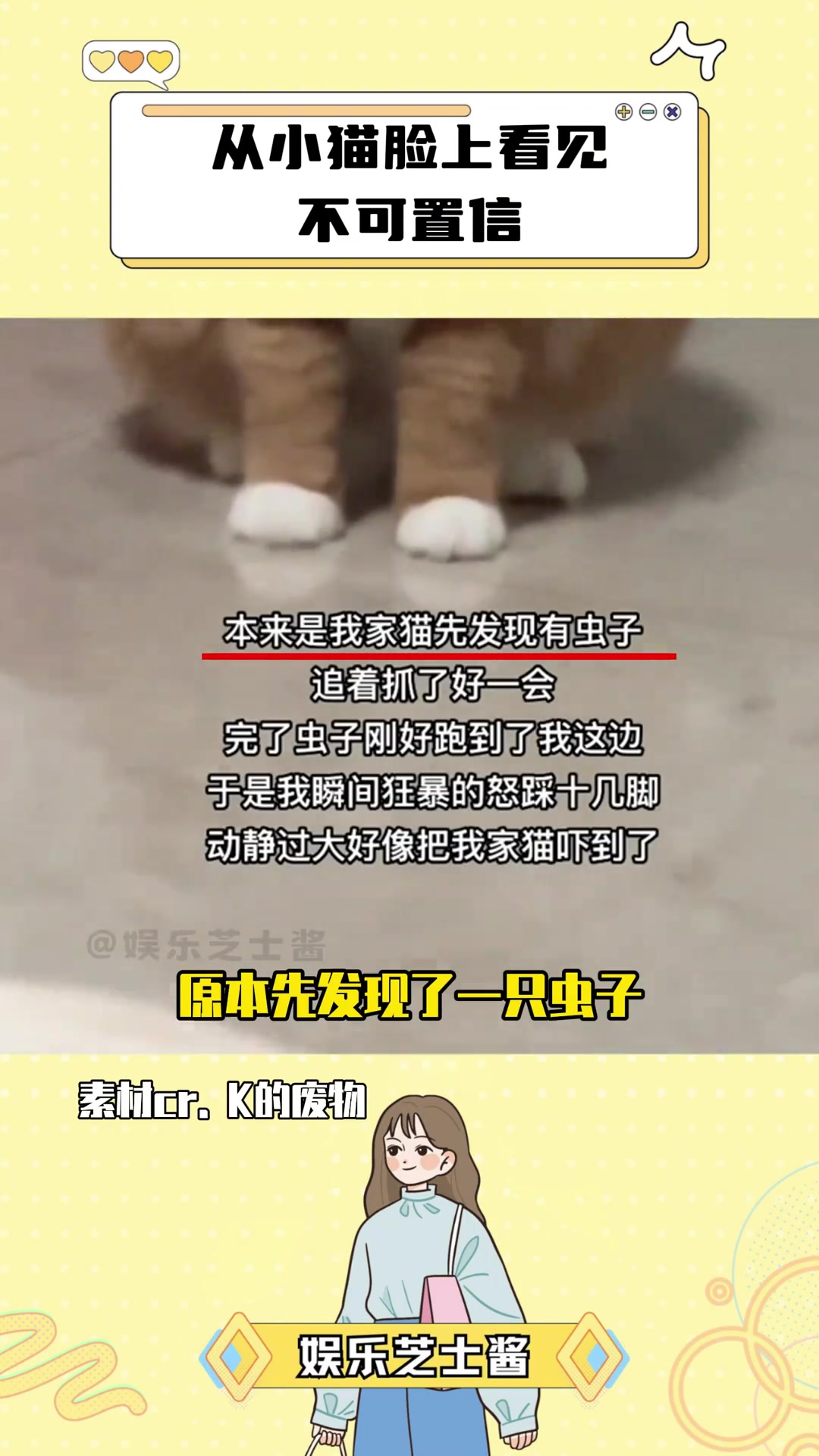 第一次在小猫的脸上看见目瞪口呆！