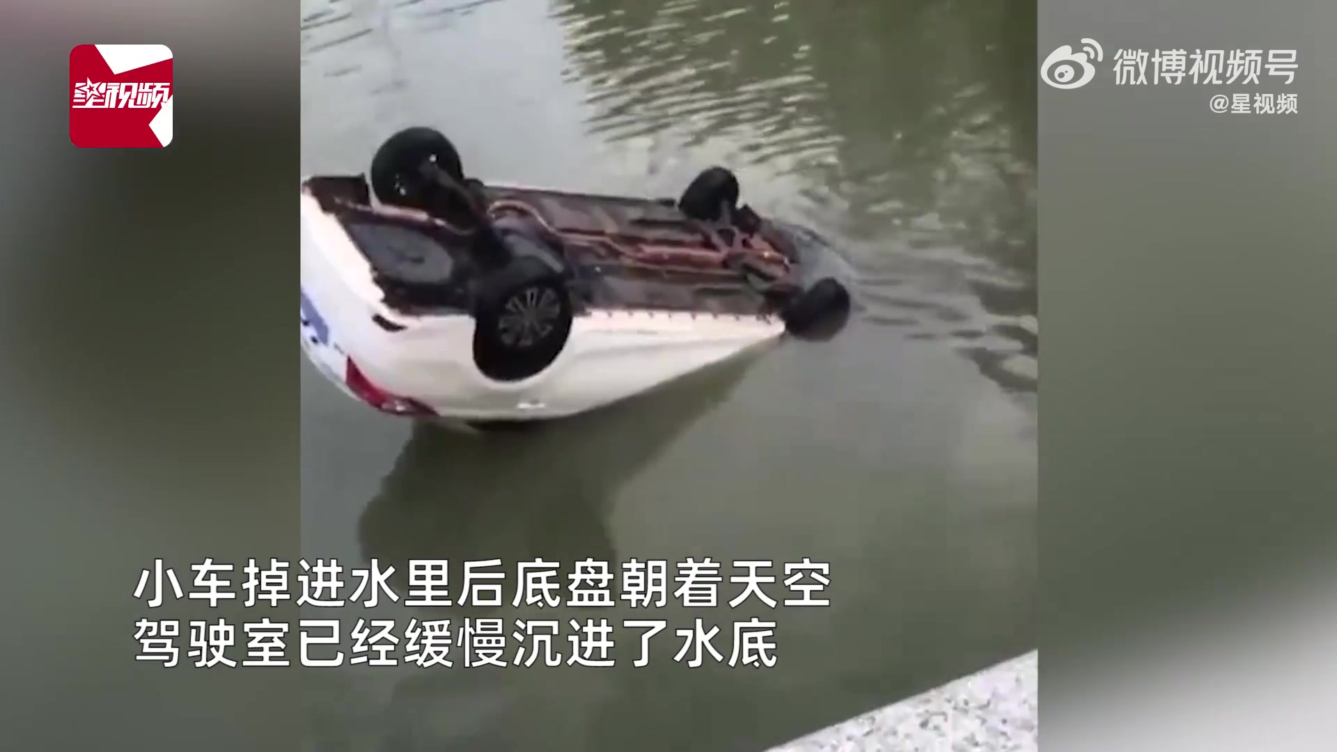 小车坠河司机教科书式自救，淡定破窗游上岸