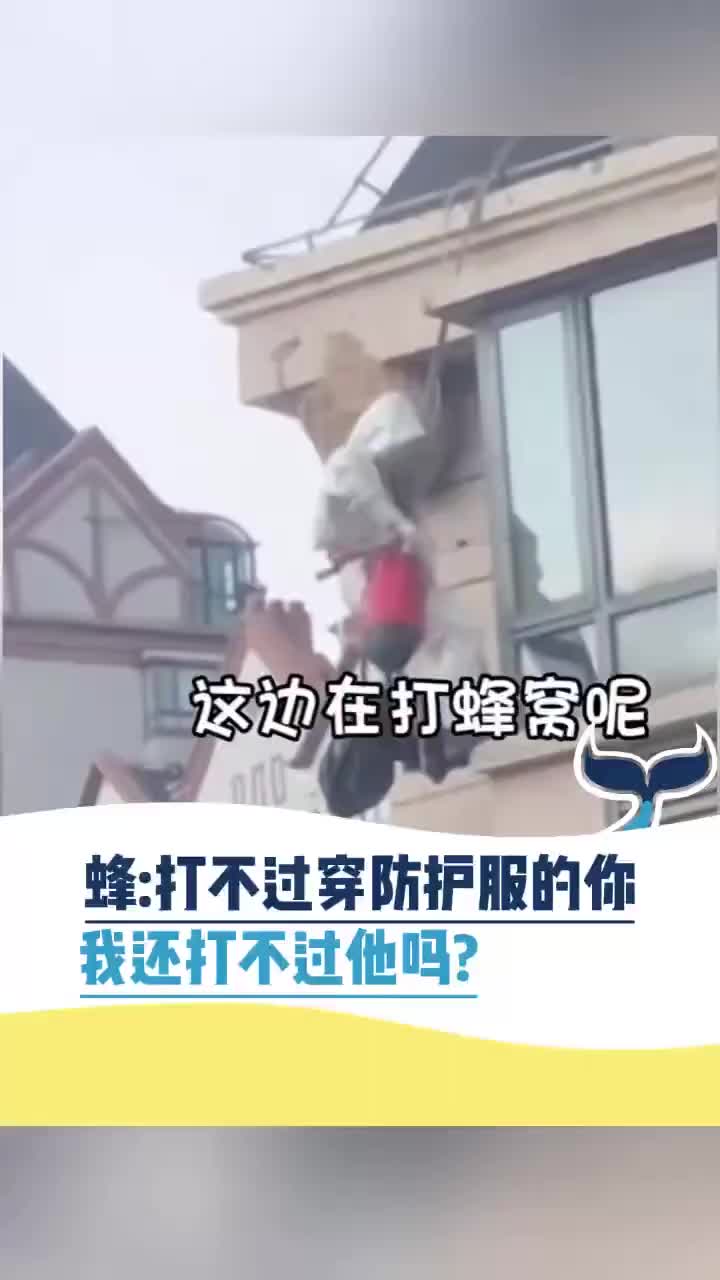 蜂：打不过穿防护的你我还打不过他吗