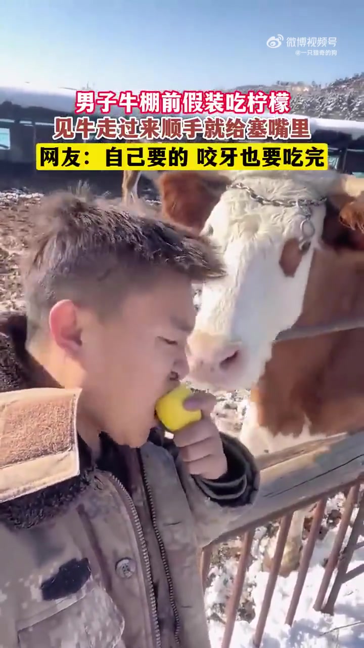 牛：自己要的，咬牙也要坚持吃完