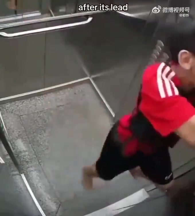 小男孩反应快，感不对即出手救下狗狗