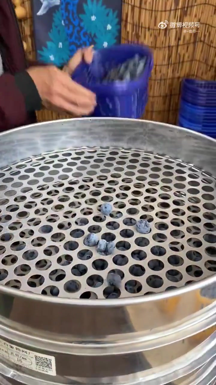 近距离感受蓝莓筛选过程，你买的是第几层