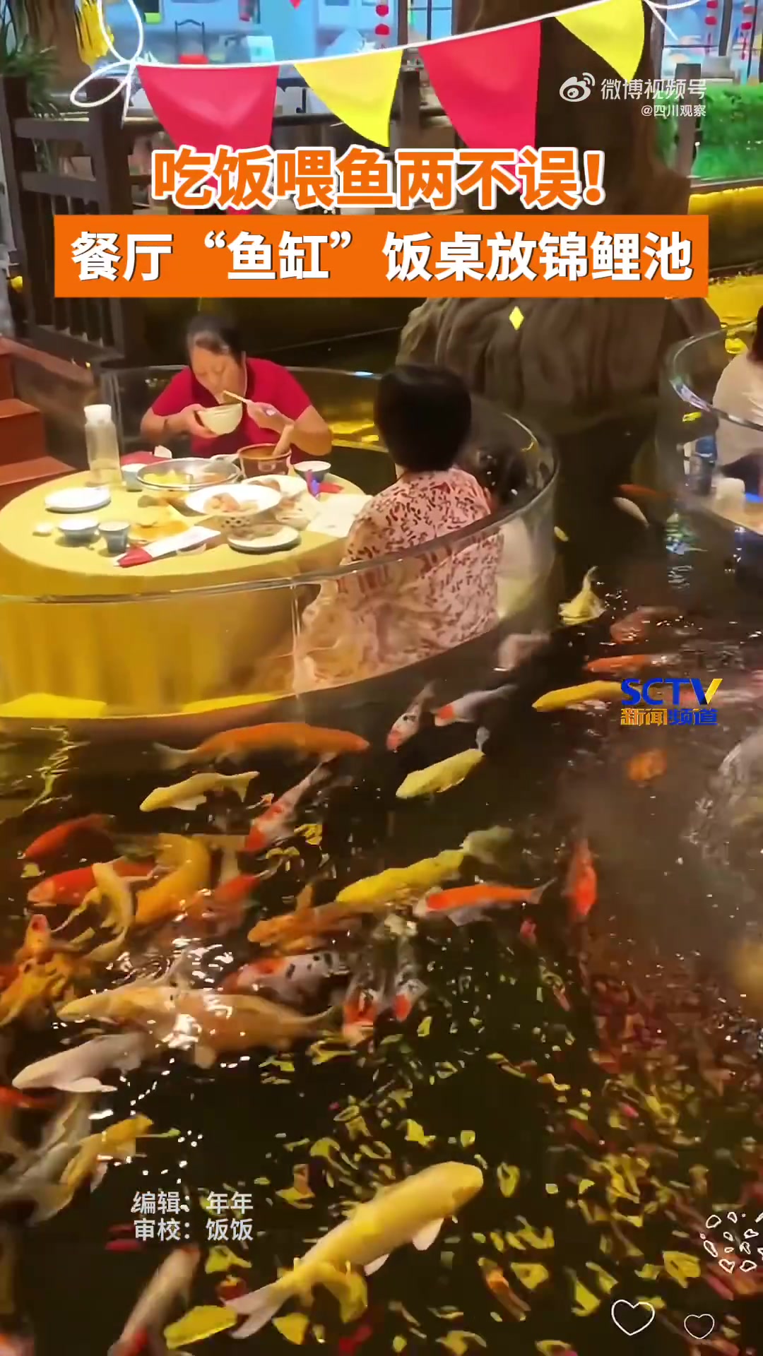 吃饭喂鱼两不误！保定一餐厅在锦鲤池里吃饭
