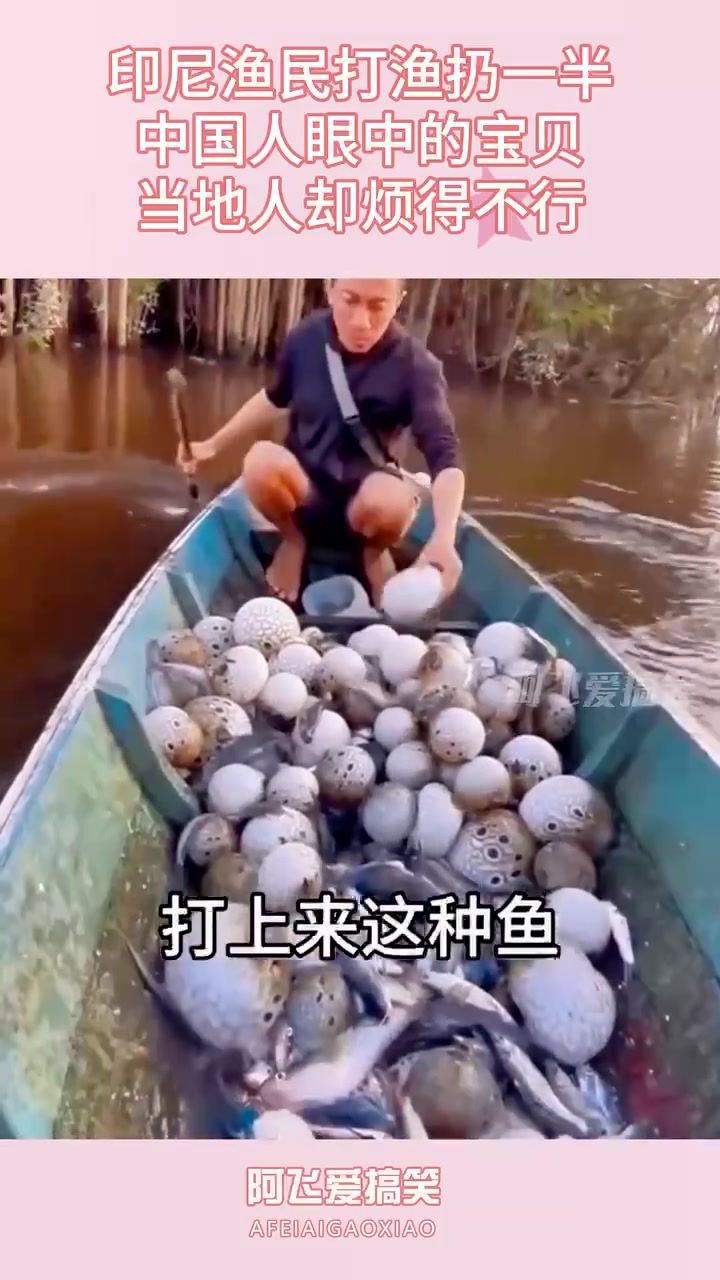 印尼渔民打渔扔一半，中国眼中宝贝当地人却烦