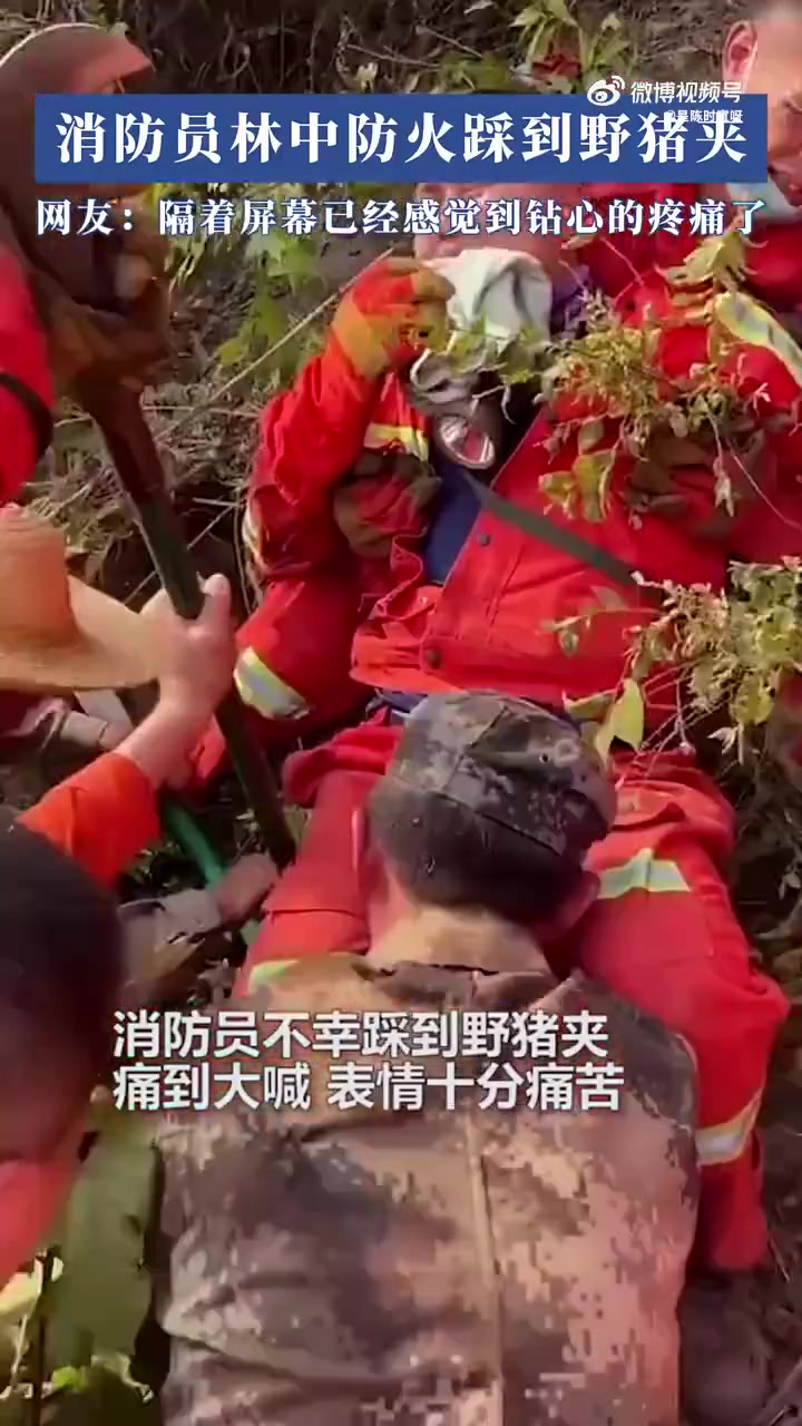 消防员林中防火踩中野猪夹，网友：隔着屏幕都疼