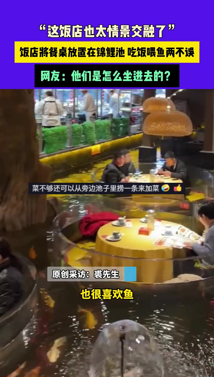 “这饭店也太情景交融了”，饭店将餐桌放锦鲤池吃饭喂鱼两不误