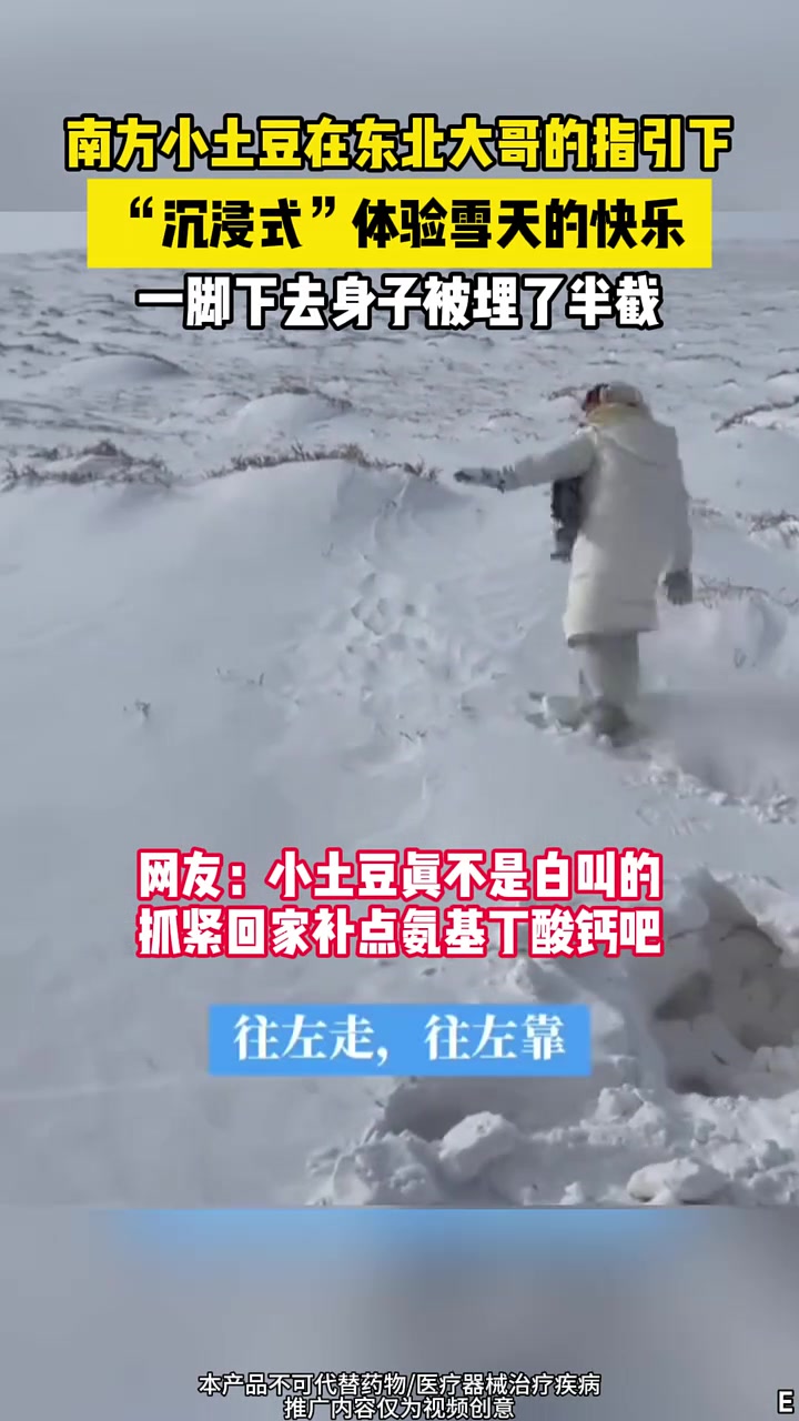 小土豆来东北，被大哥兜乐了