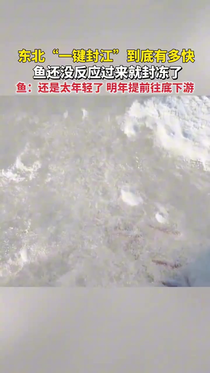 东北“一键封江”到底有多快网友：鱼还没反应过来就封冻了！