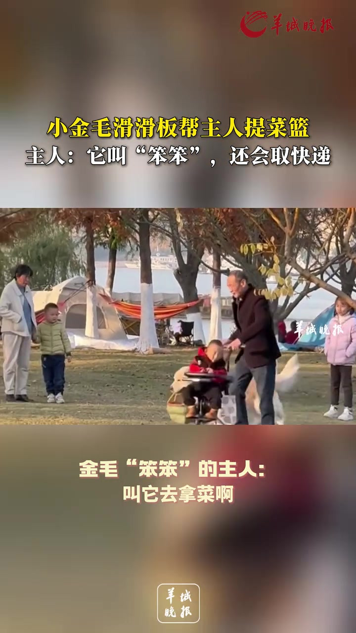 小金毛滑滑板帮主人提菜篮主人：它叫“笨笨”，还会取快递