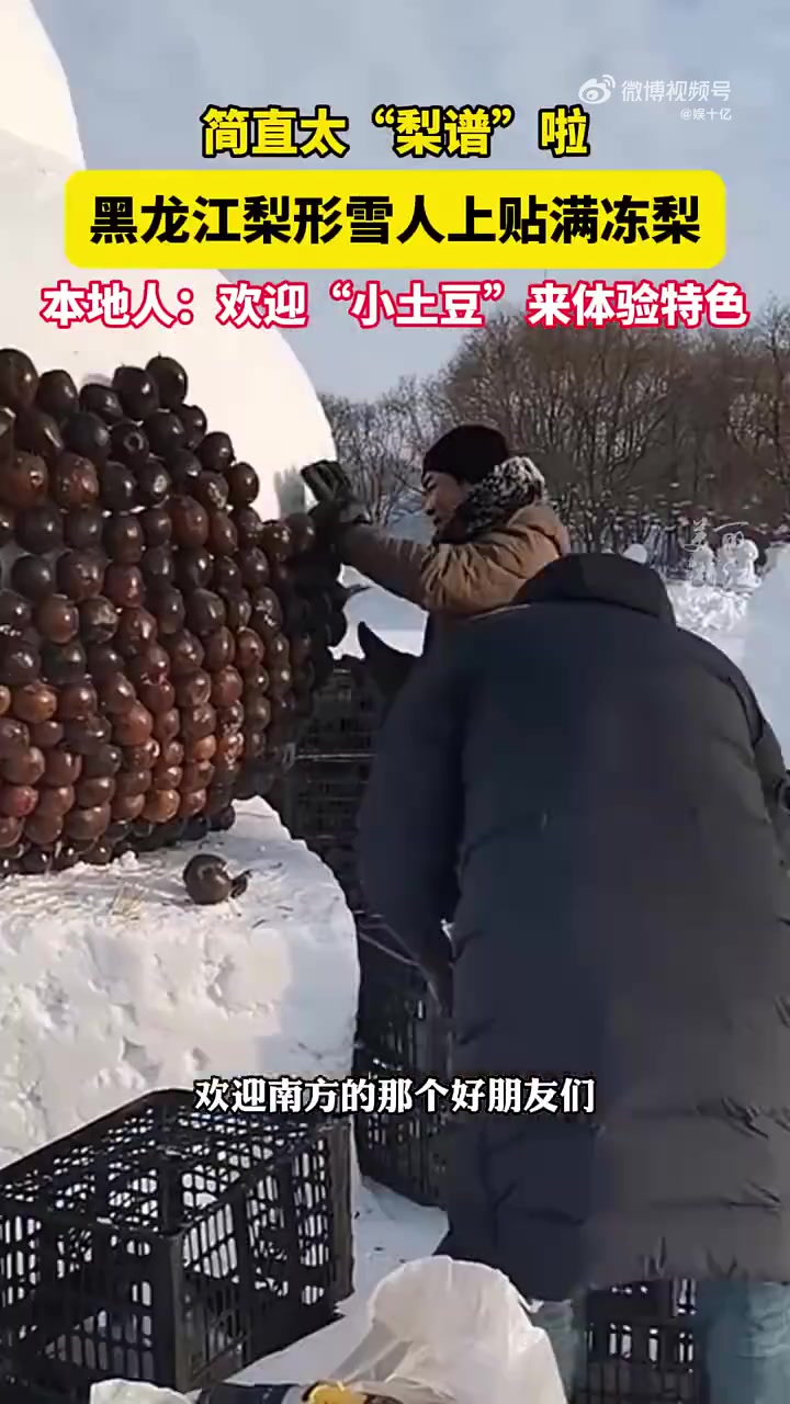 黑龙江巨型雪雕，梨形大雪人上贴满冻梨可免费啃！