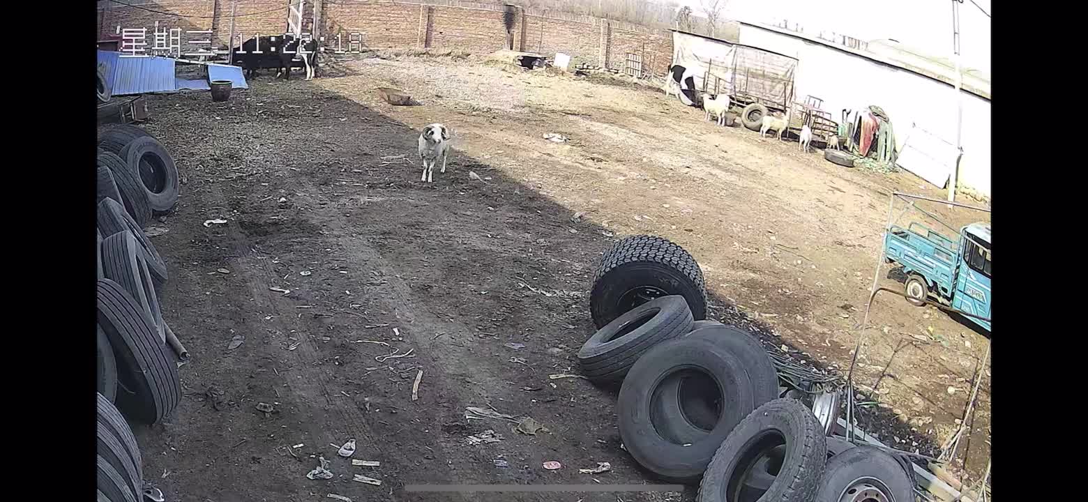 扔了武器玩摔跤我是万万没想到的