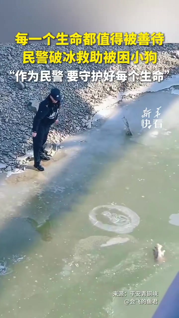 每个生命都值得被善待！民警踹开冰面蹚冰水救落水小狗