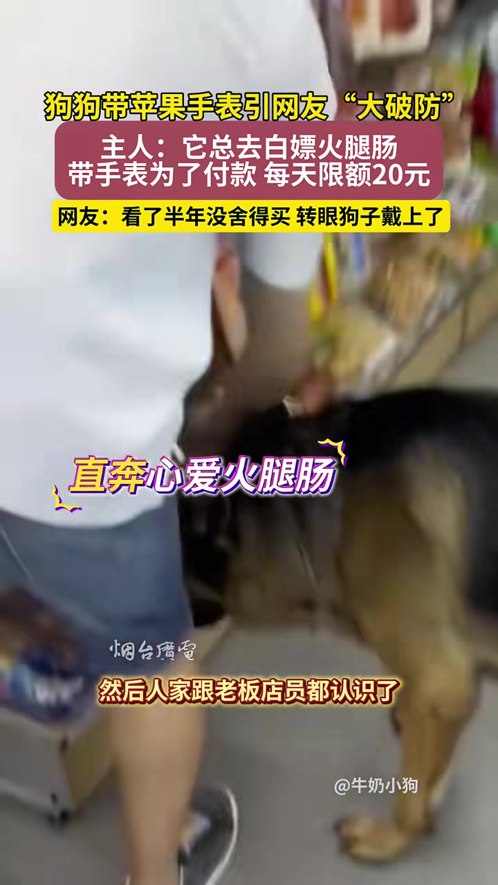 狗狗总去白嫖火腿肠，主人给它戴上“苹果手表”为了付款