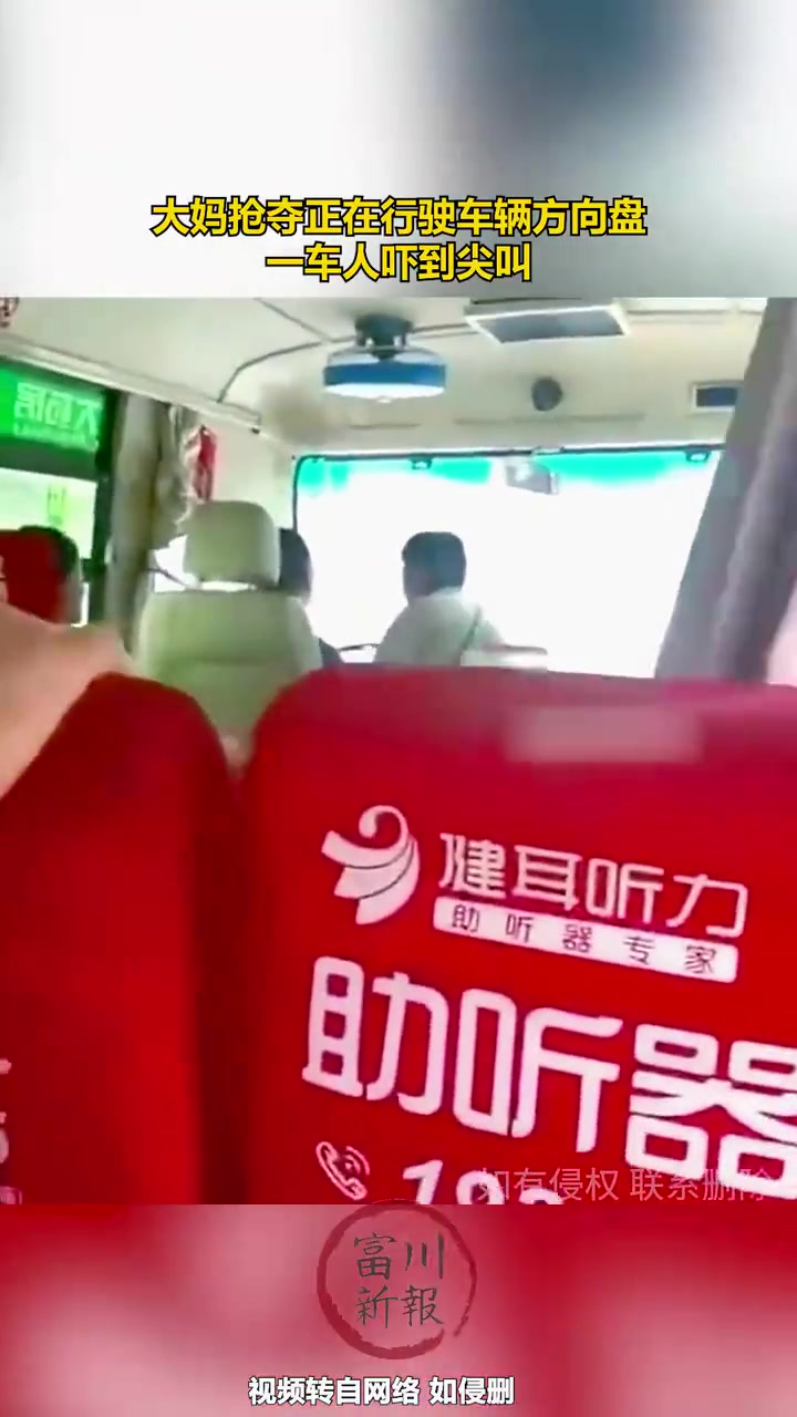 大妈抢夺正在行驶车辆方向盘，一车人吓到尖叫！！！