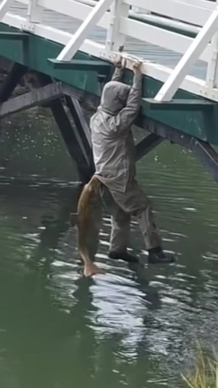 鱼：怎么了不喜欢嘛不是天天钓我吗