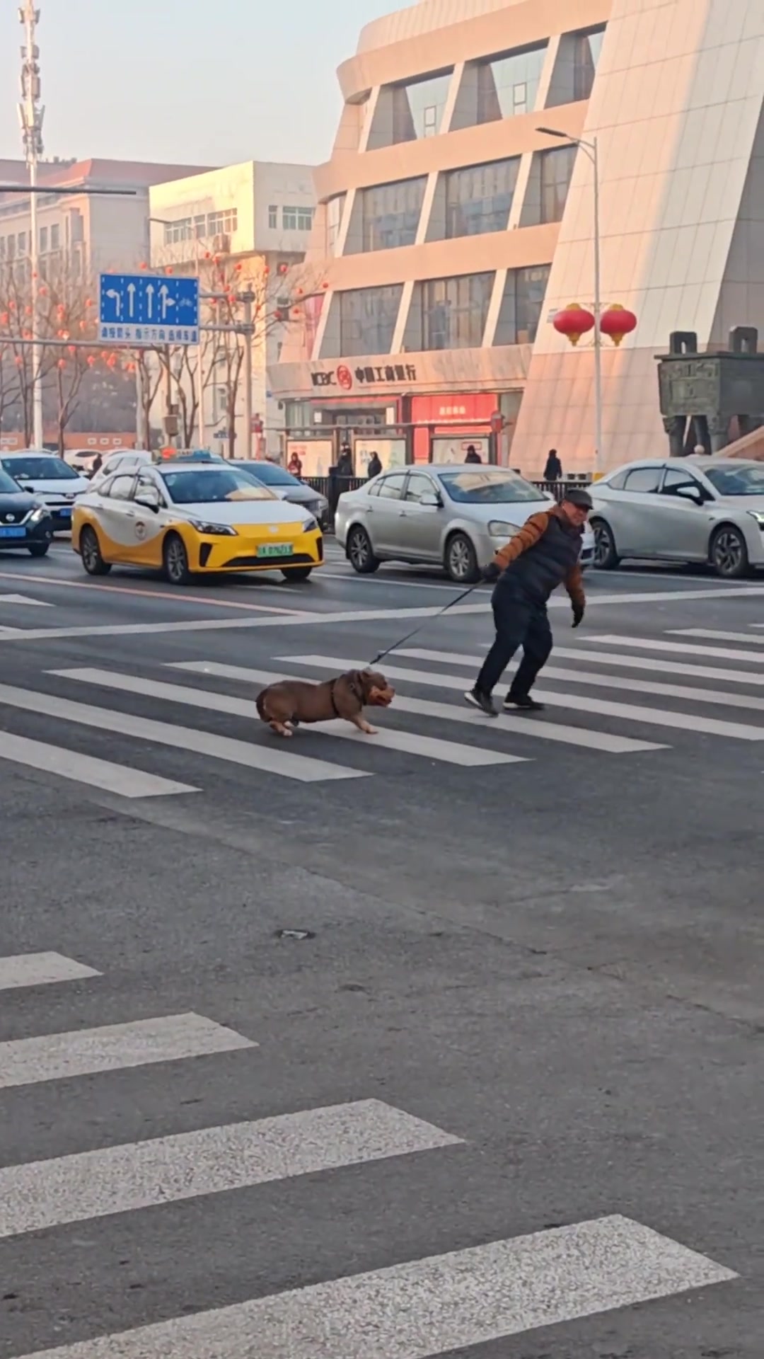 大爷回家，你知道今天多少人录我吗！！